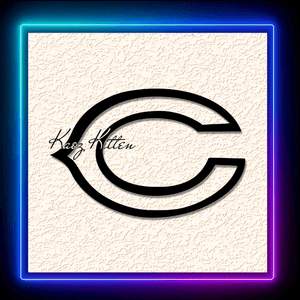 Chicago Bear Logo Emblem Wall Art Home Decor