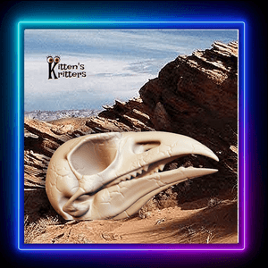 Prehistoric Bird Skull Desert Predator Home Decor