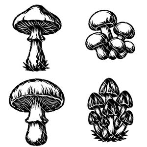 Garden Mushrooms SVG Bundle