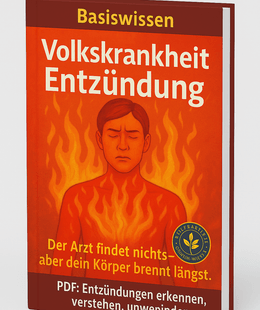 Volkskrankheit Entzündungen