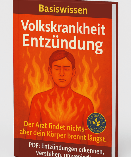 Volkskrankheit Entzündungen
