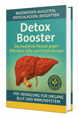 Detox-Booster: Ausleiten, Entgiften, Entschlacken – Natürliche Detox-Kur für Körper, Seele und Geist