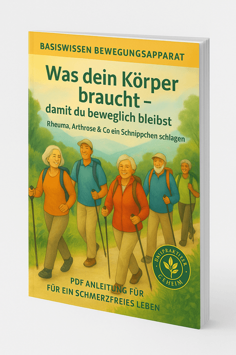 Bewegungsapparat - was dein Körper braucht, um beweglich zu bleiben
