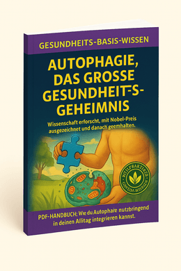 Autophagie, das stille Wunder der Zell-Regeneration, Garantie für ein gesundes, langes Leben