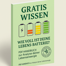 Wie voll ist Ihr innerer Akku? Entdecken Sie Ihren Regenerations-Koeffizienten