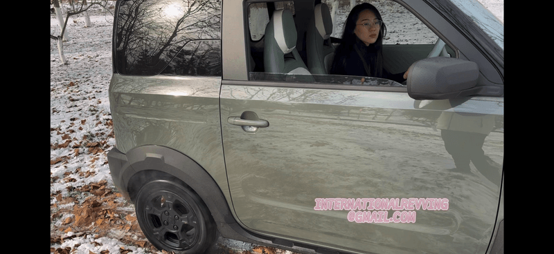 Daughter’s Teacher Stuck In Snow - She’s Not Going To Forgive The Gas Pedal And The Tires