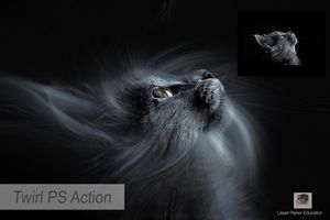 Twirl effect PS Action
