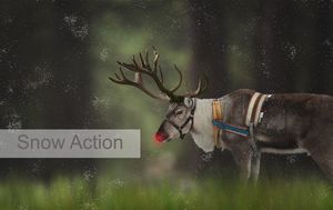 Snow Action