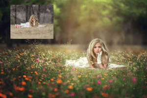From Winter to Spring Artistic Edit