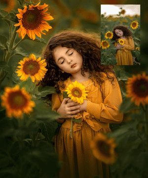 Girasoles edicion en espanol  