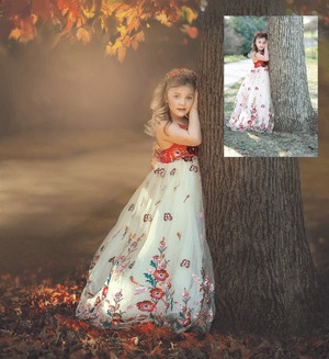 Painting with Light &amp; Color: Photoshop + AI Editing