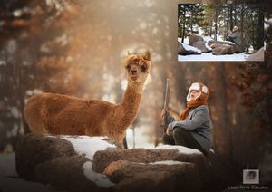 Winter Composite/photoshop edit 