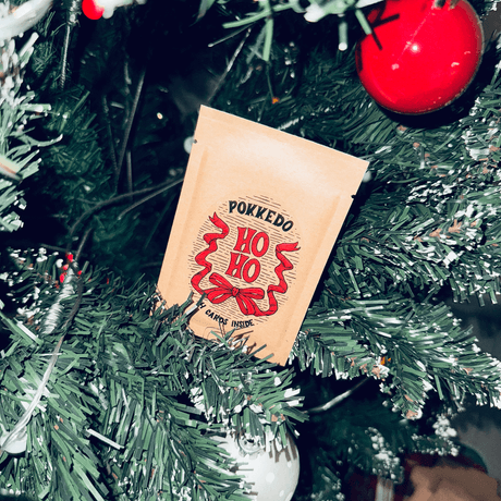 Pokkedo HO H0 Xmas pack