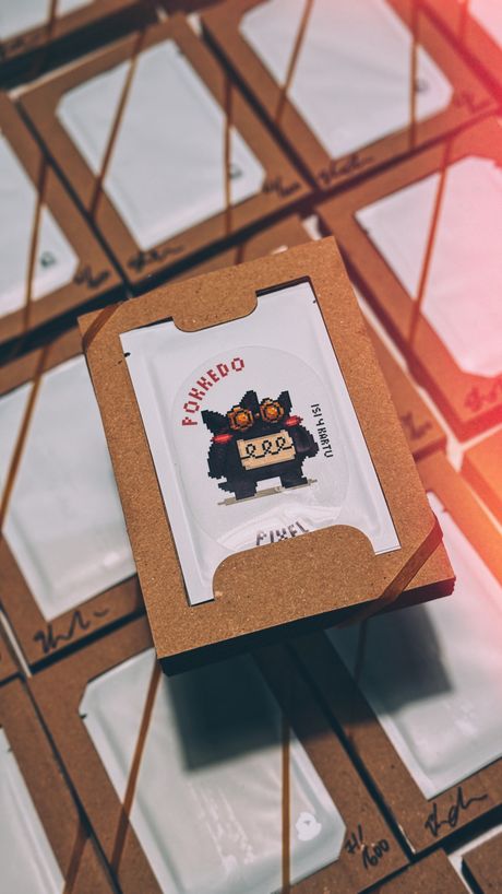 Pokkedo PXL