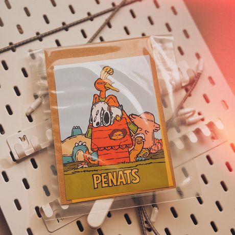 PENATS Art Set