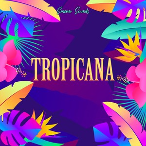 TROPICANA (5 Constructions Kits)