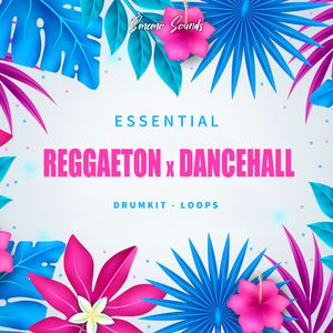 ESSENTIAL REGGAETON x DANCEHALL (Drumkit &amp; Loops)