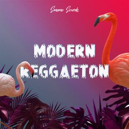 MODERN REGGAETON (5 Constructions Kits)