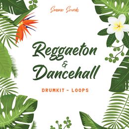 REGGAETON &amp; DANCEHALL (Drumkit &amp; Loops)