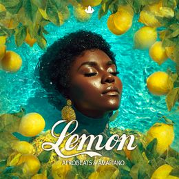 LEMON Afrobeats &amp; Amapiano (5 Constructions Kits)