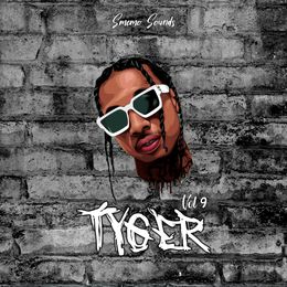 TYGER vol 9 (5 Constructions Kits)
