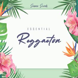 ESSENTIAL REGGAETON (5 Constructions Kits)