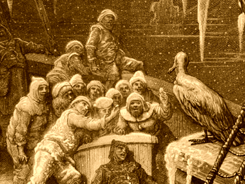 DP1131-Biden Report Card