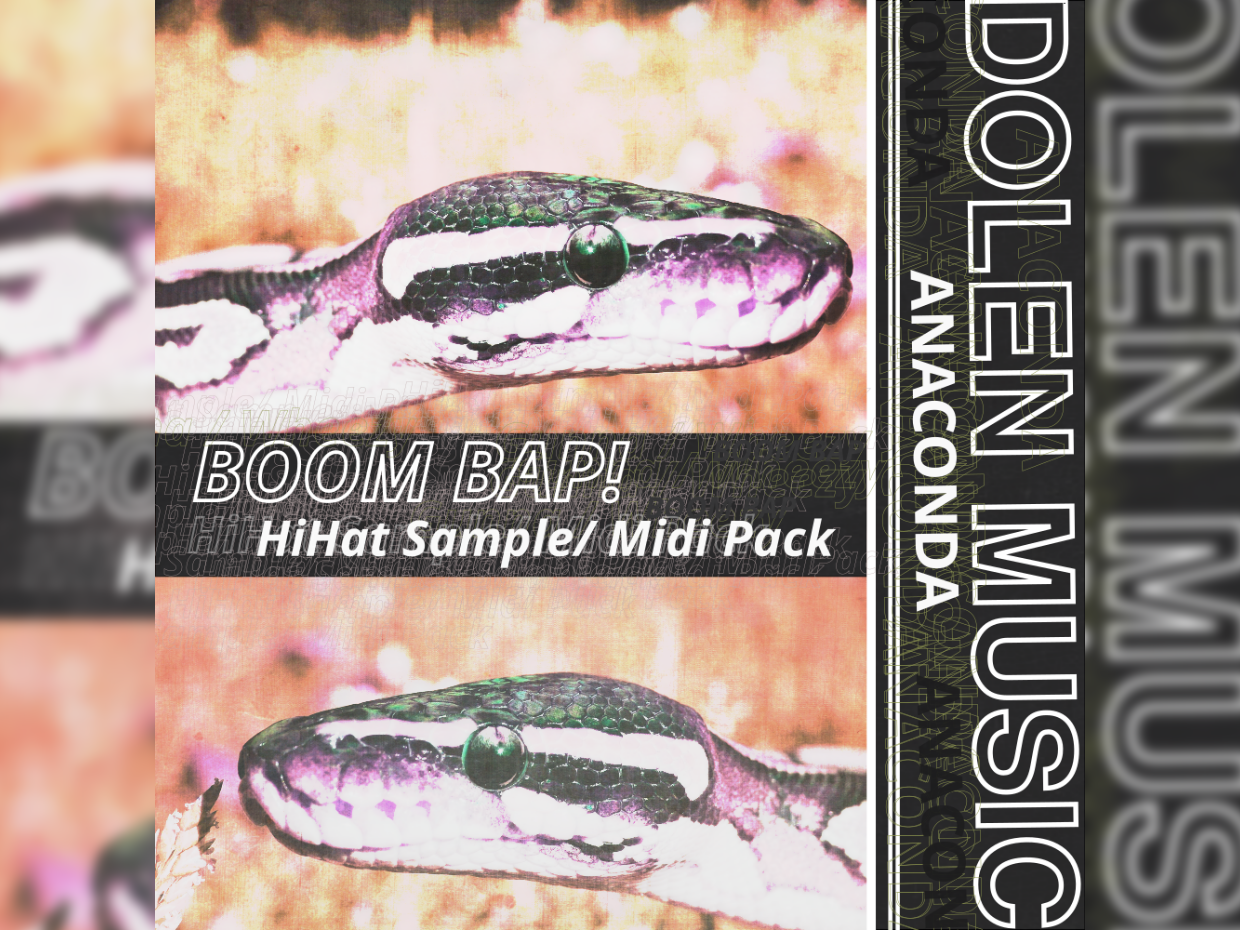 Anaconda Vol.6 Hi Hat Loop & MIDI Kit (Boom Bap Editio