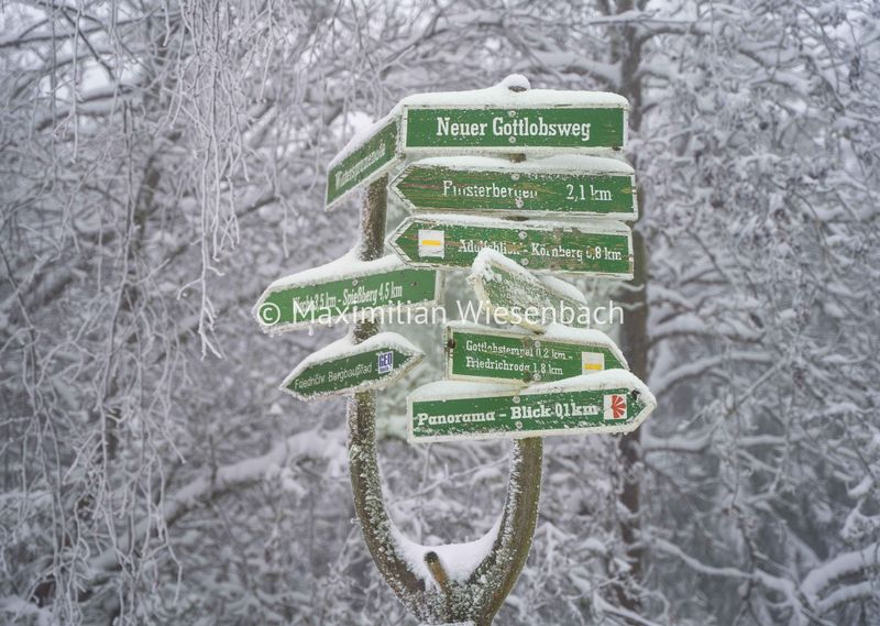 Wegweiser am Gottlob bei Friedrichroda im Thüringer Wald