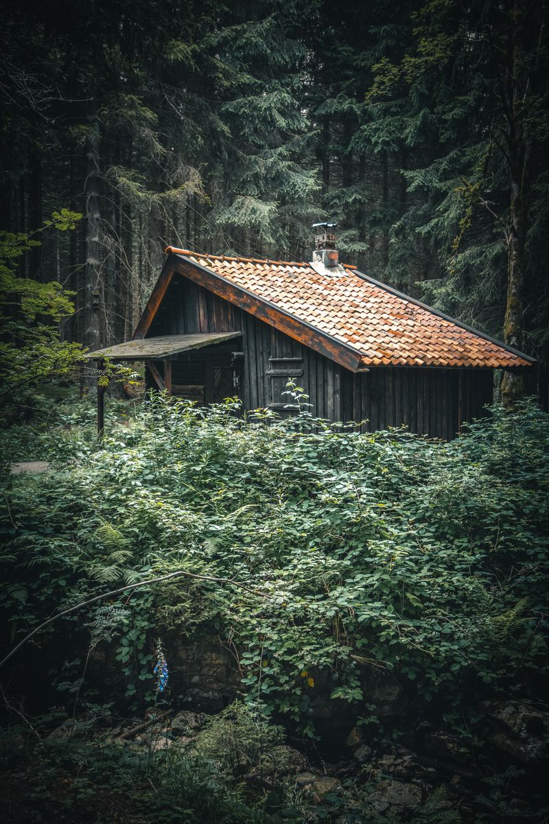 Einsame Waldhütte im Harz