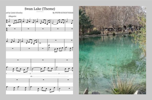 Swan Lake 