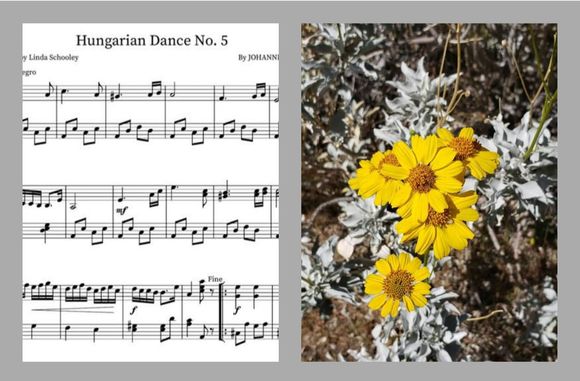 Hungarian Dance No. 5 