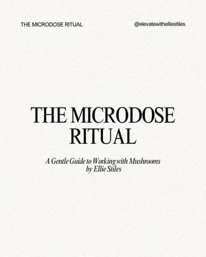 The Microdose Ritual: A Gentle Guide to Mushrooms
