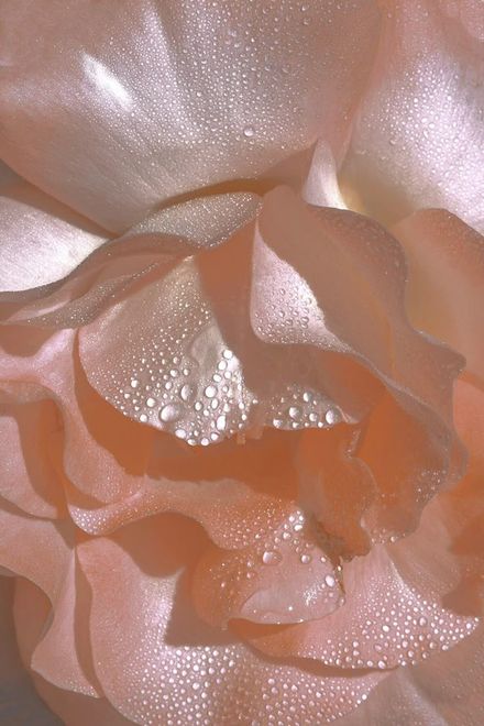 Free Daily Womb Practice 