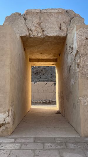 Womb Transmission for Upgraded Money Consciousness