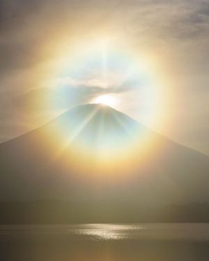 Daily Womb Meditation to Receive (with light codes)