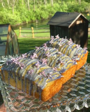 lilac poppyseed lemon cake