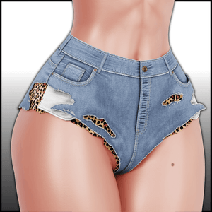 Slashed Jean Shorts
