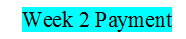 MGT Wk-2 Payment