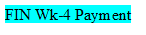 FIN Wk-4 Payment
