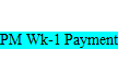 PM Wk-1 Payment