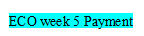 ECO Wk 5 Payment