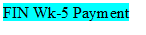 FIN Wk-5 Payment