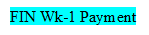 FIN Wk-1 Payment