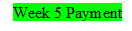 ETH Week 5 Payment