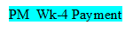 PM Wk-4 Payment