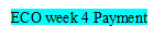 ECO Wk 4 Payment