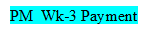 PM Wk-3 Payment