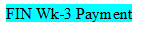 FIN Wk-3 Payment