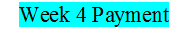 MGT Wk-4 Payment